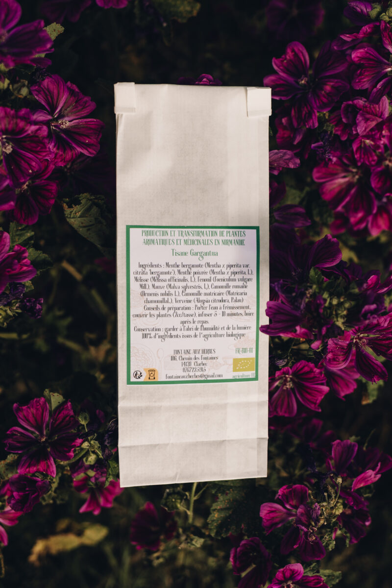 Tisane Gargantua – Image 2