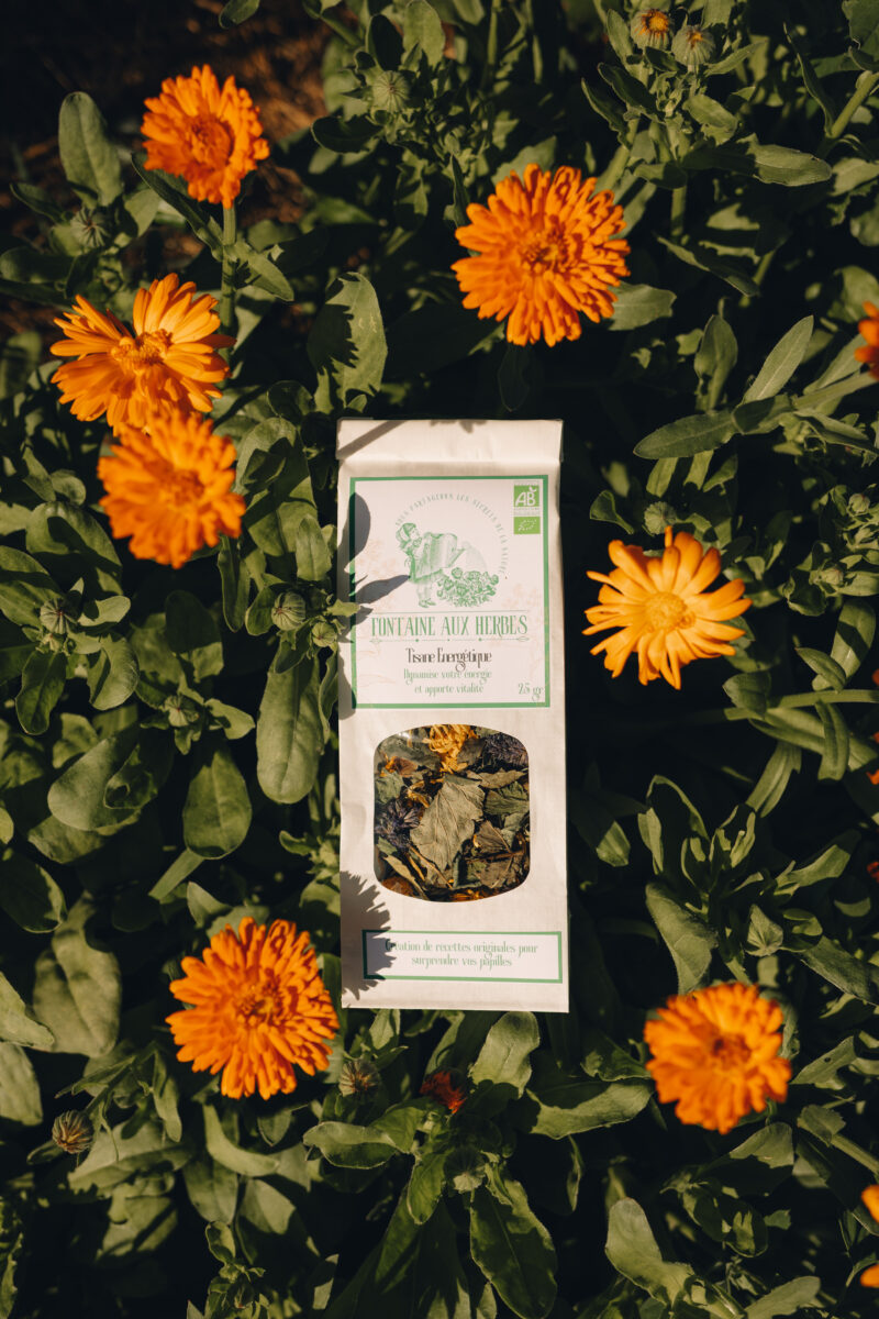 Tisane Energétique