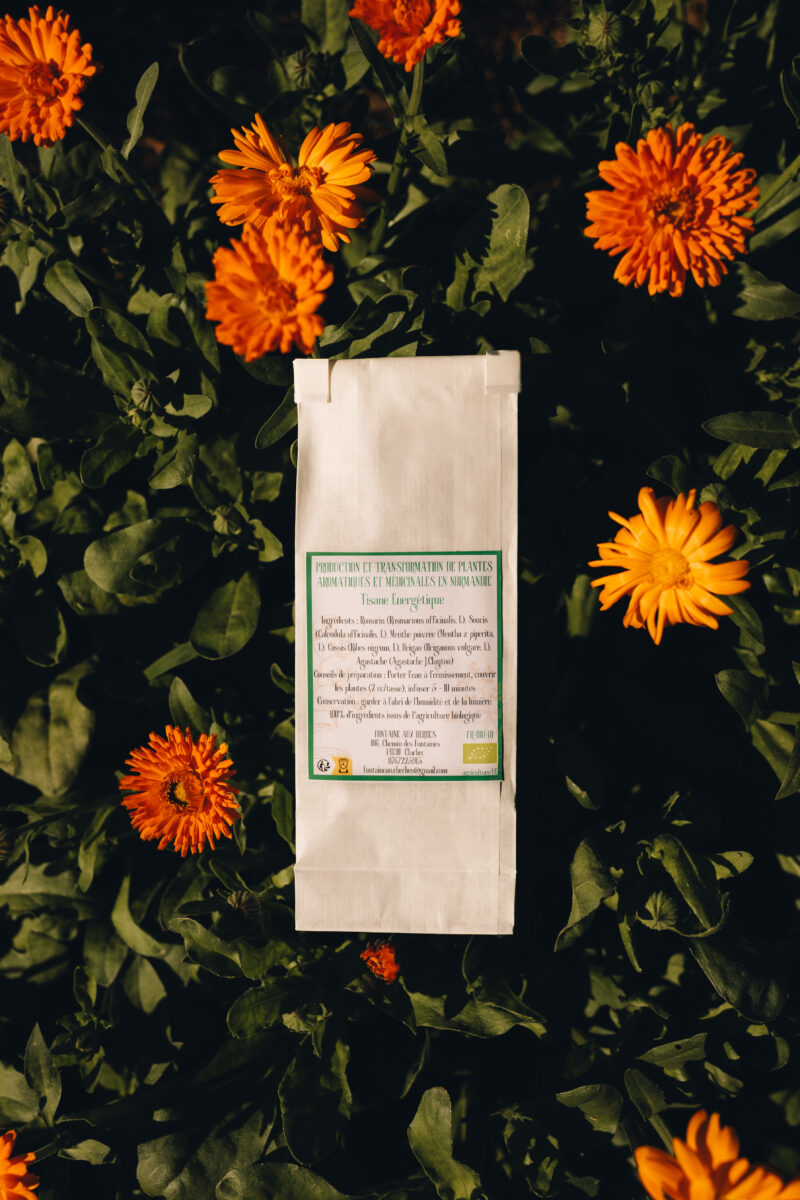 Tisane Energétique – Image 2