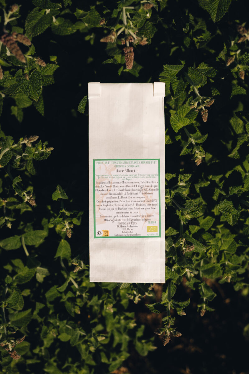 Tisane Silhouette – Image 2