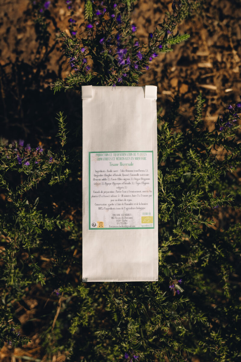 Tisane Hivernale – Image 2