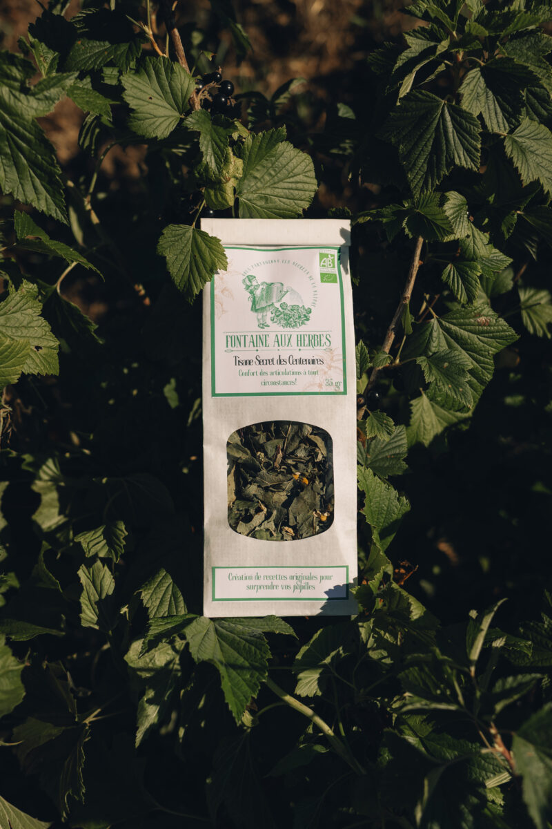 Tisane Secrets des Centenaires