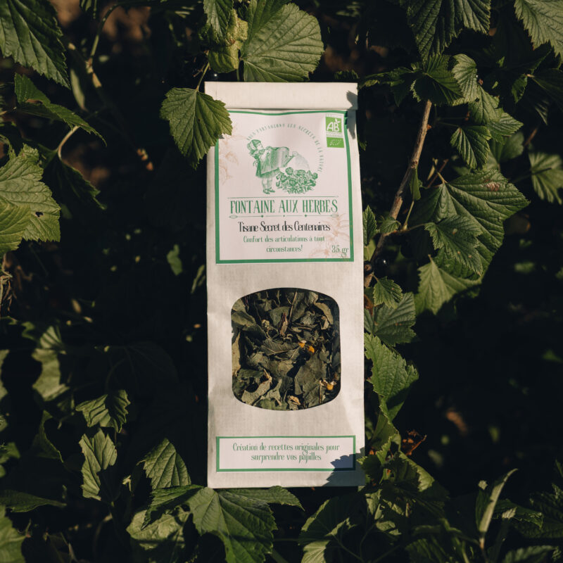 Tisane Secrets des Centenaires
