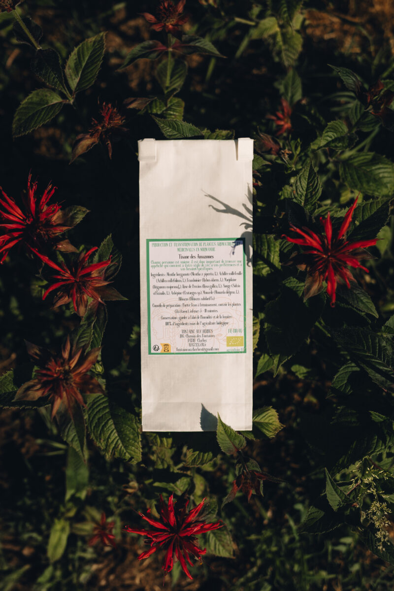 Tisane des Amazones – Image 2