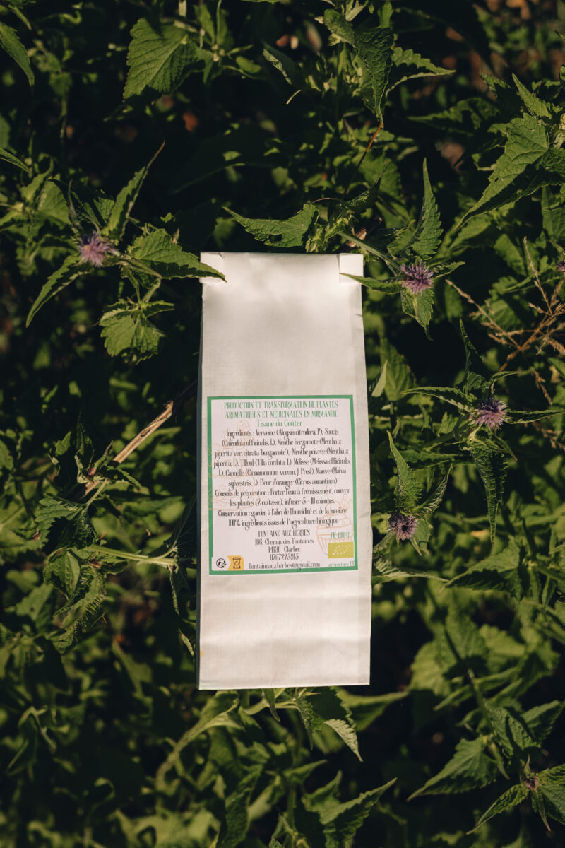 Tisane du Goûter – Image 2