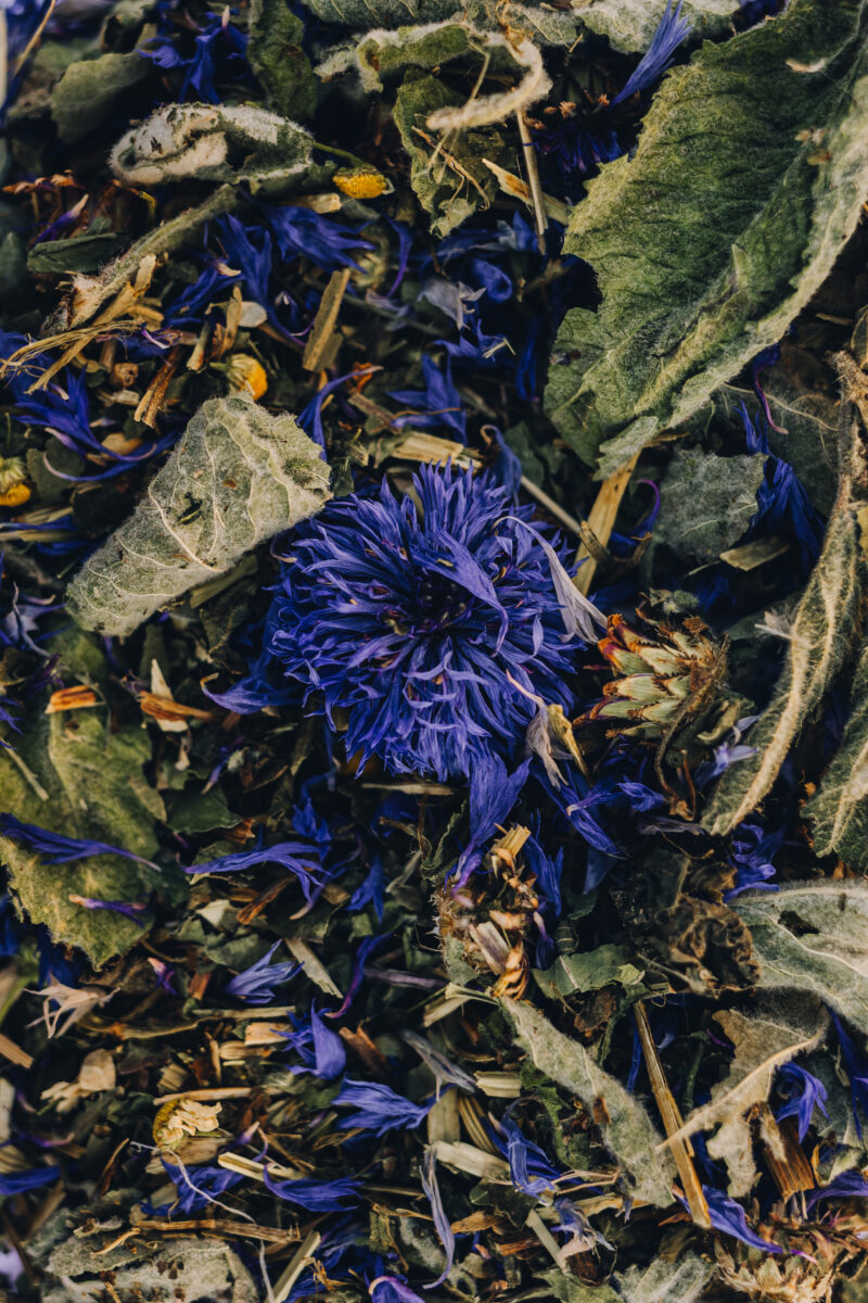 Tisane Silhouette – Image 3