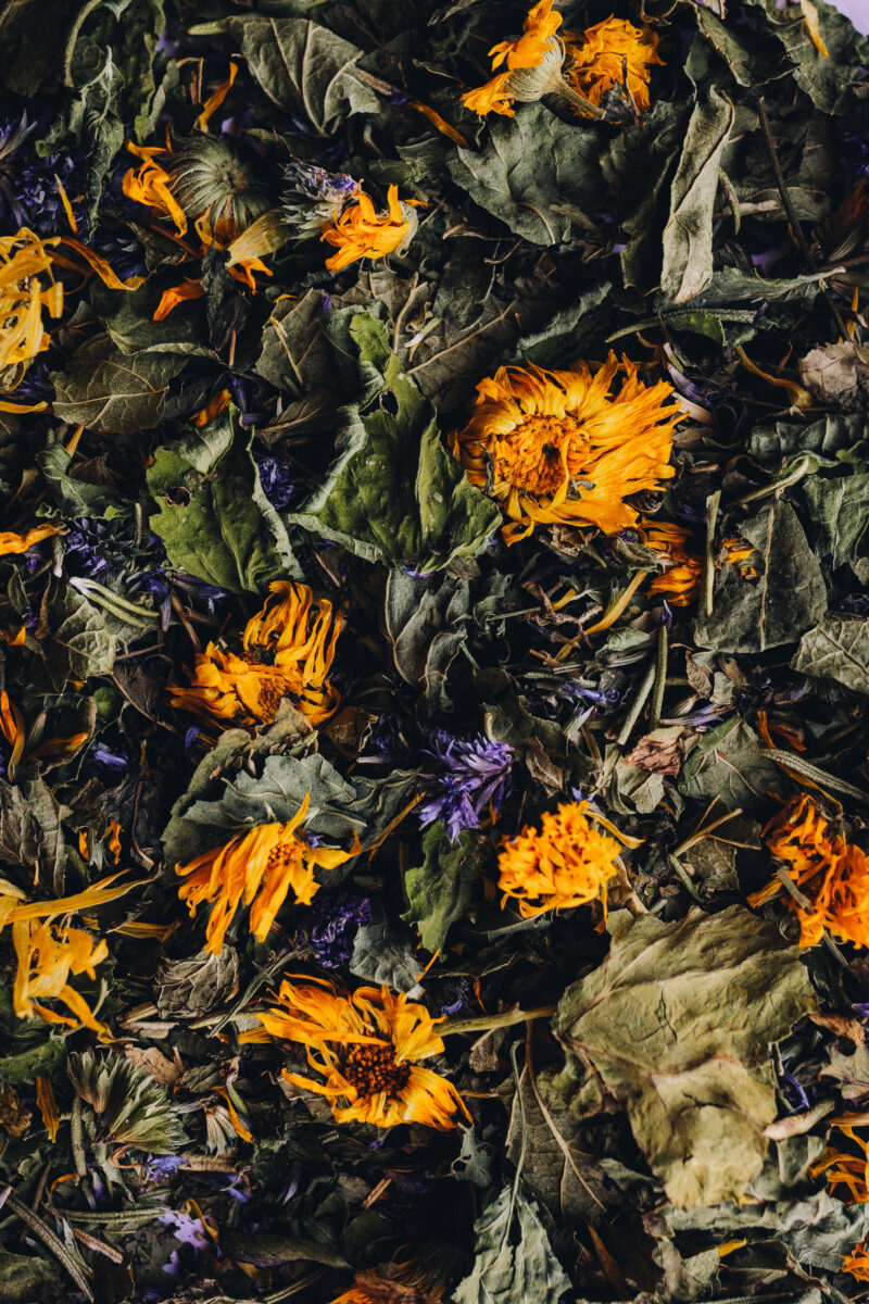Tisane Energétique – Image 3