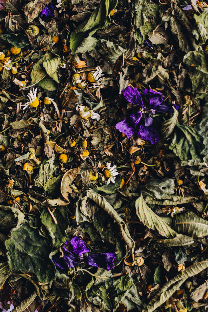 Tisane Gargantua – Image 3