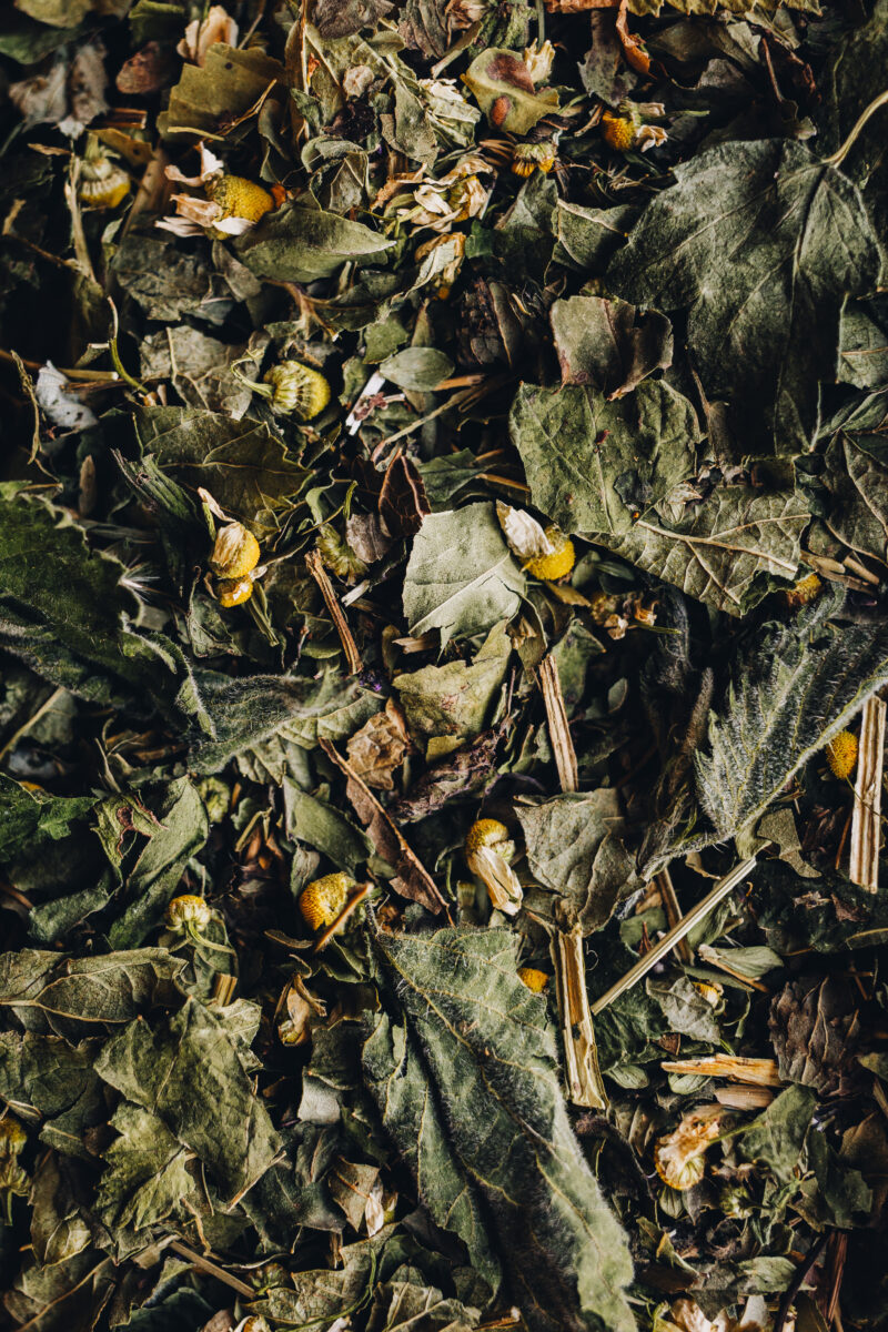 Tisane Secrets des Centenaires – Image 3